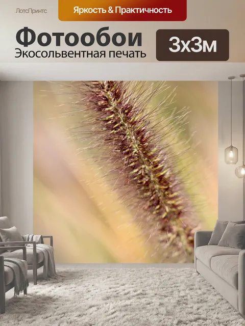 Фотообои Трава