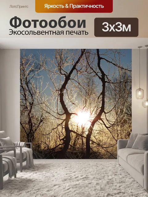 Фотообои Зима
