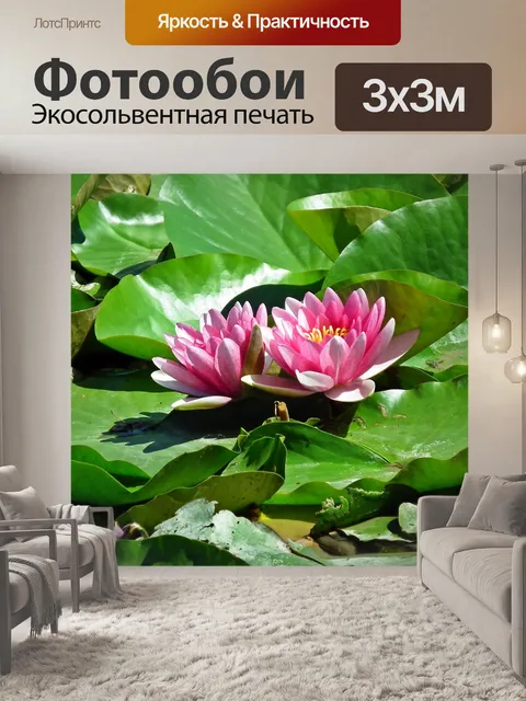 Фотообои Водяные лилии