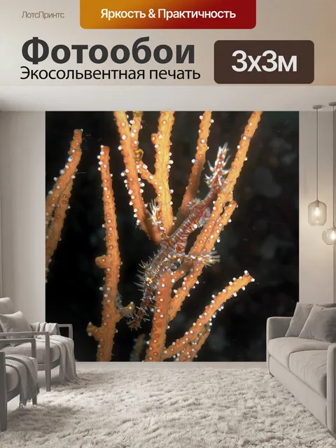 Фотообои Подводный