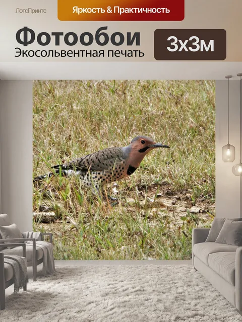 Фотообои Северное мерцание в траве