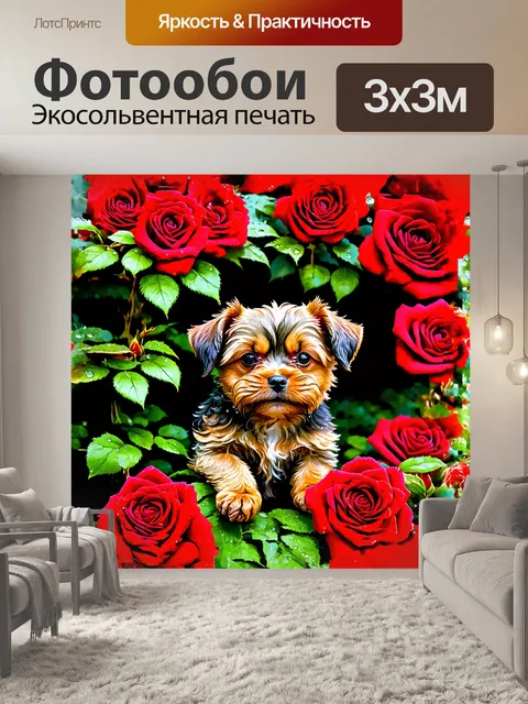 Фотообои щенок брюссельского гриффона