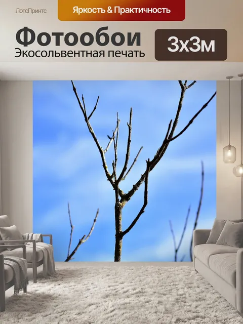Фотообои Сухие ветки