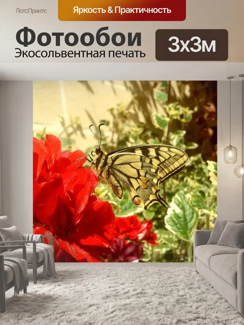 Фотообои Бабочка