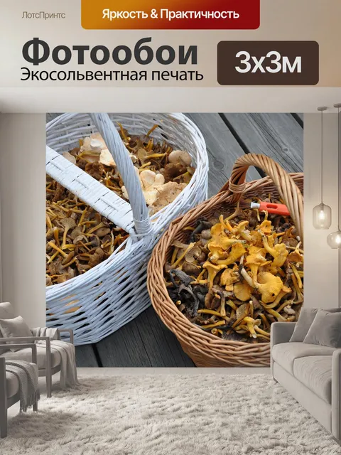 Фотообои Гриб