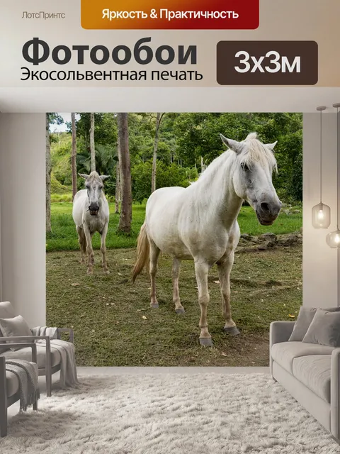 Фотообои Лошади