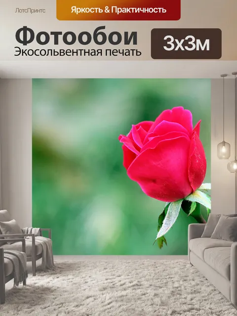 Фотообои Красная роза