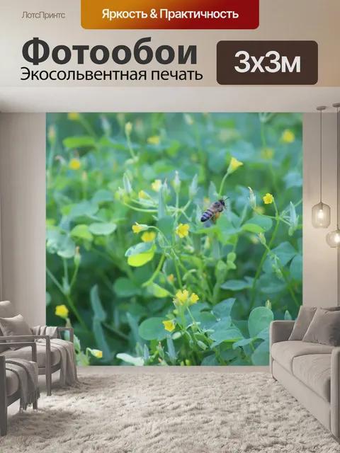 Фотообои Г-н Кловер Пчела Летающий