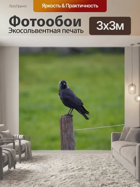 Фотообои Blackbird 3