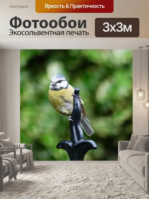 Фотообои Птица