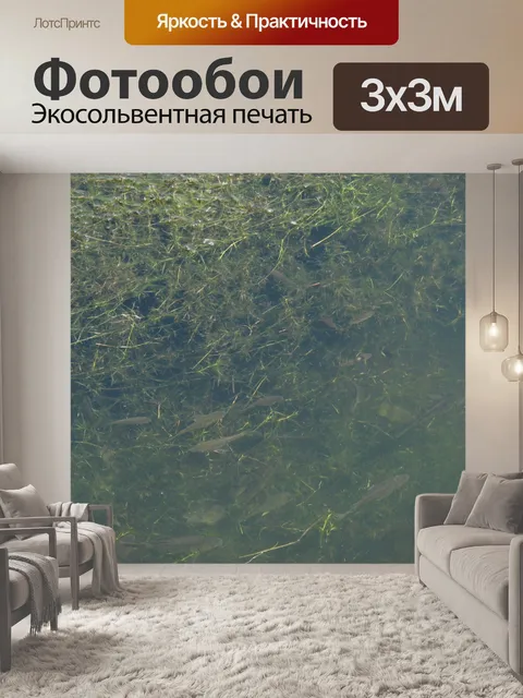 Фотообои Прудовая рыба