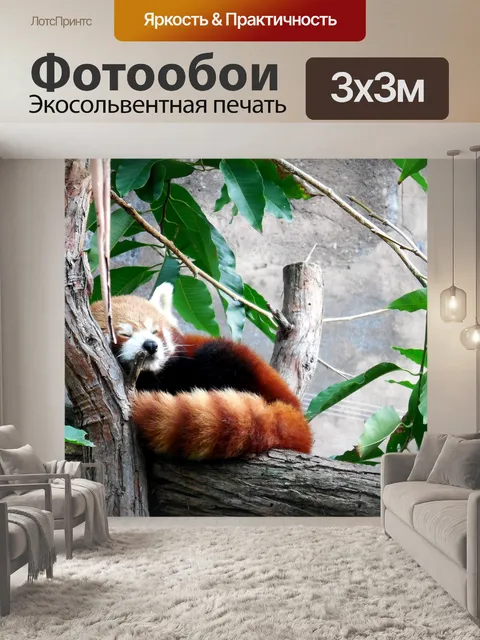 Фотообои Красная панда