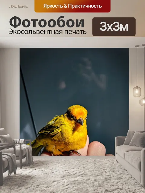 Фотообои Птица