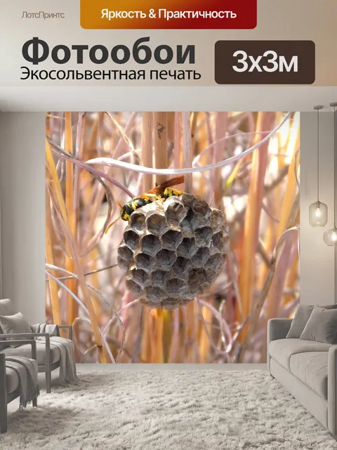 Фотообои Осиное гнездо
