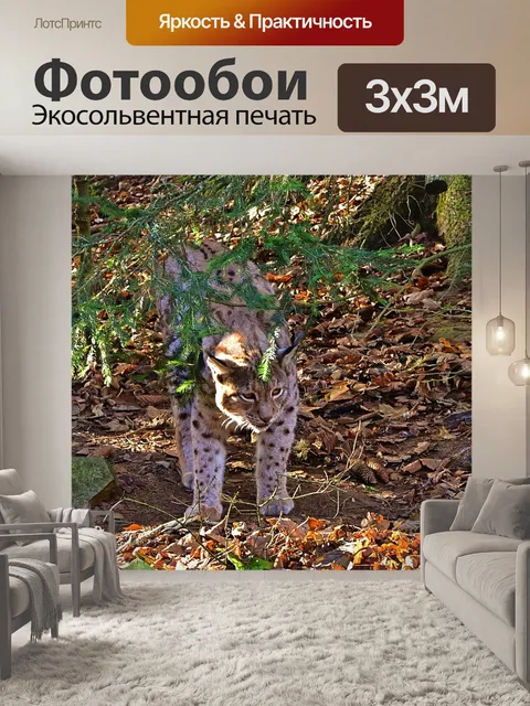 Фотообои Природа