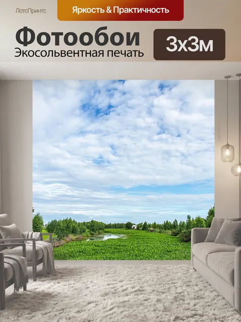 Фотообои Водяной гиацинт