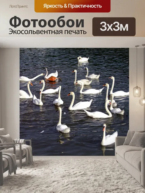 Фотообои Лебедь