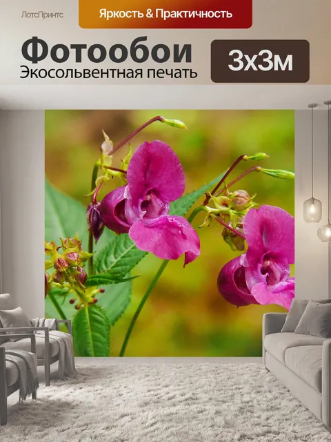 Фотообои Индийский бальзам