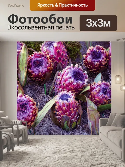 Фотообои Цветы артишока