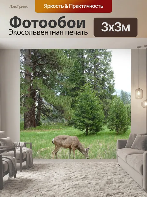 Фотообои Йосемити
