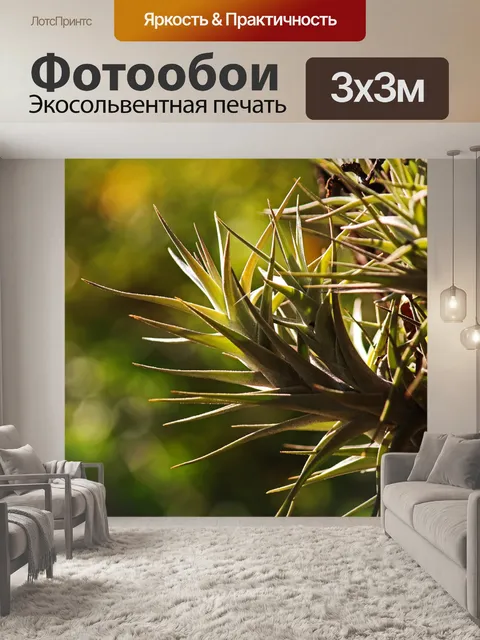Фотообои эпифит с боке