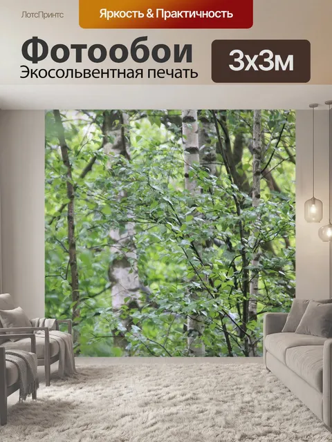 Фотообои Березы