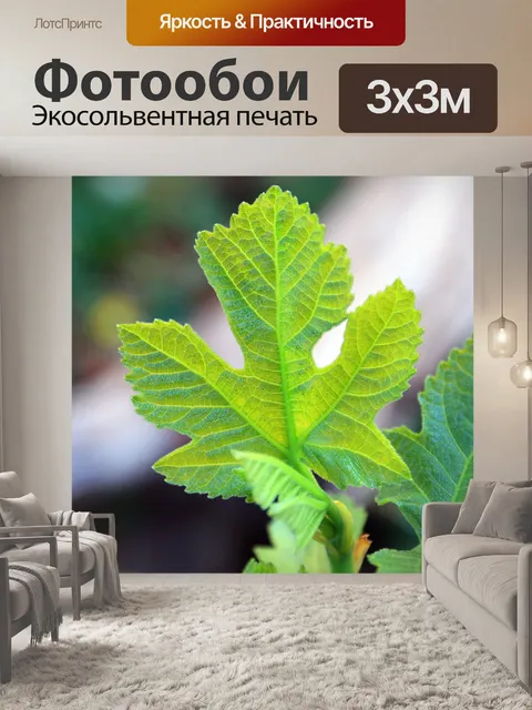 Фотообои зеленые фиговые листья