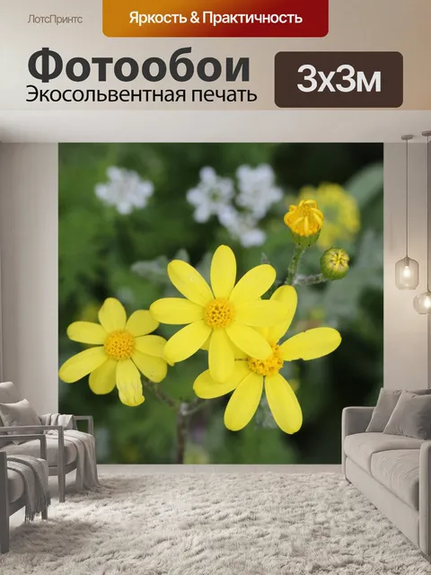 Фотообои Зеленый