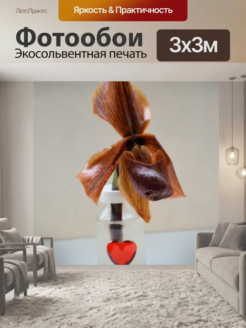 Фотообои Цветок страсти