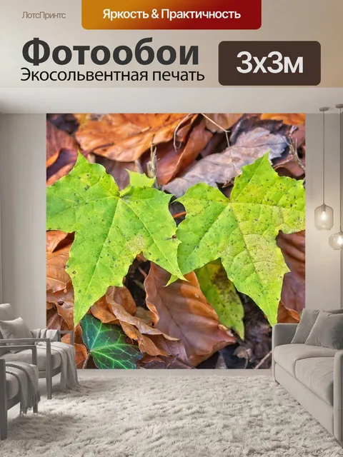 Фотообои Листья