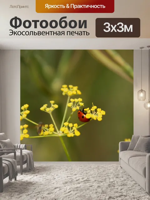 Фотообои Божья коровка
