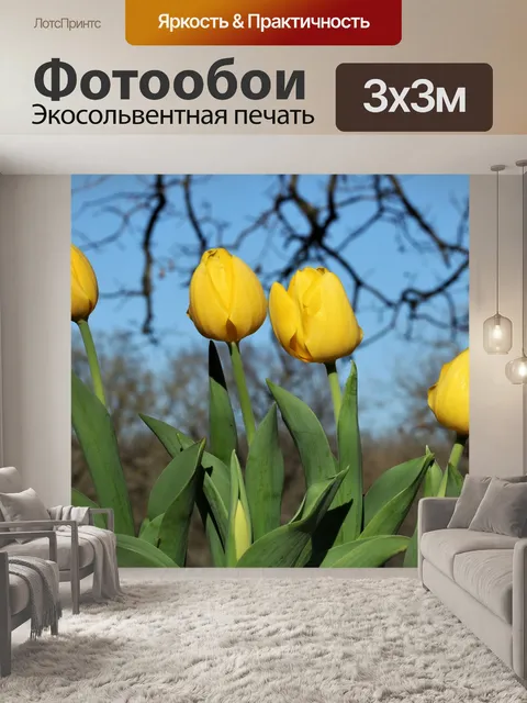 Фотообои Четыре желтых тюльпана