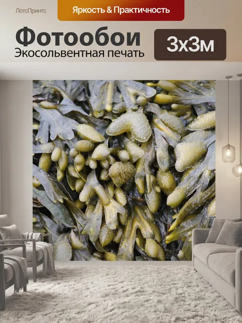 Фотообои Природа