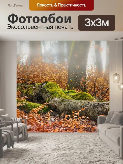 Фотообои Падение