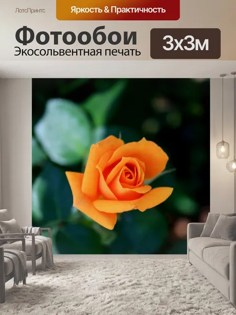 Фотообои темно-желтые розы
