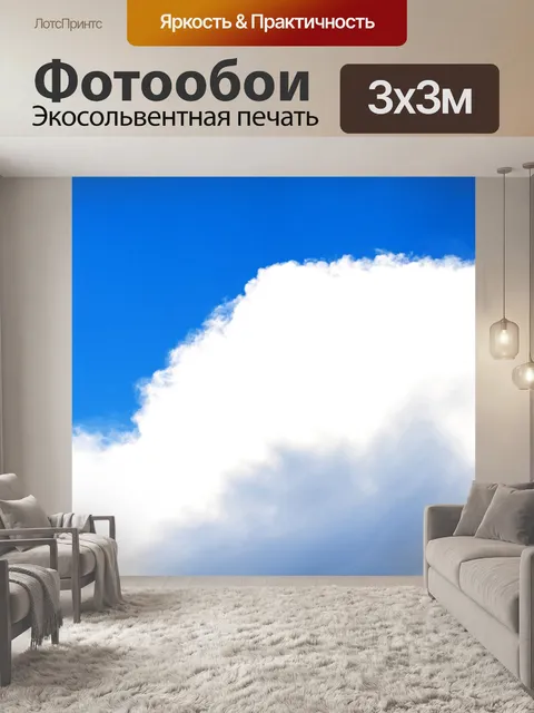 Фотообои выпуклое белое облако на фоне синего