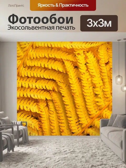 Фотообои Осенний папоротник