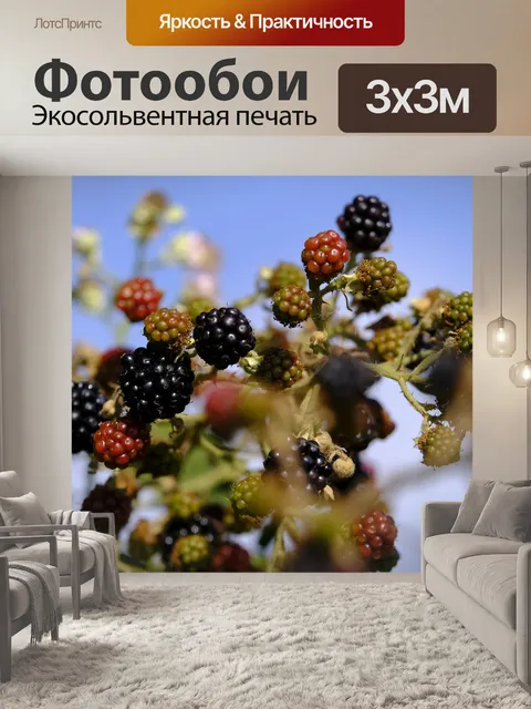 Фотообои Ежевика