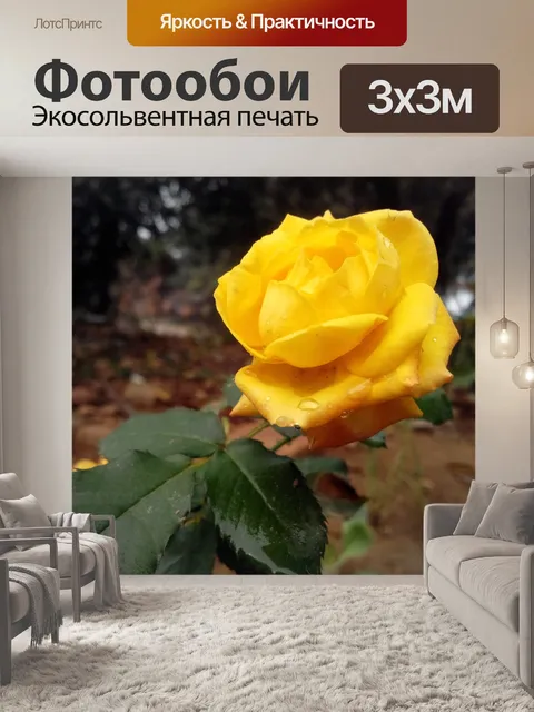 Фотообои Желтая роза