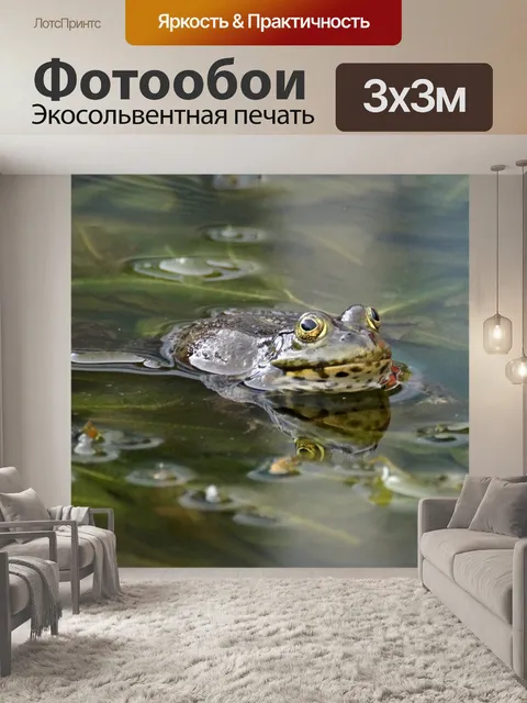 Фотообои Обыкновенная лягушка пруд зеркальное ото