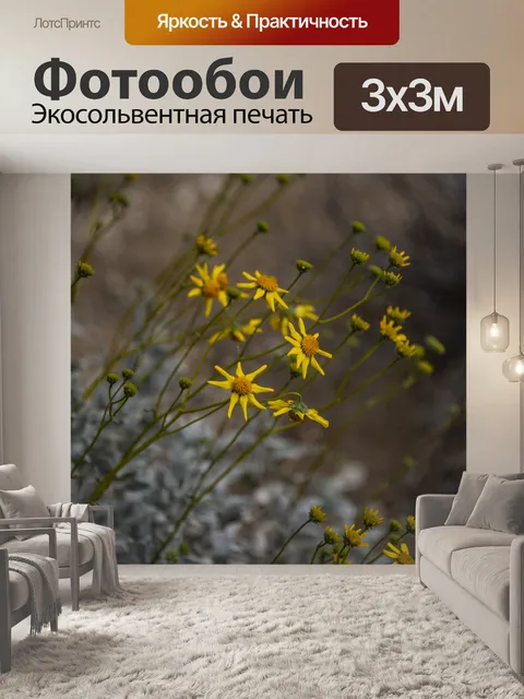 Фотообои Мохаве Астра Желтый Цветок