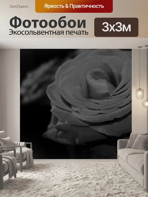 Фотообои Роза