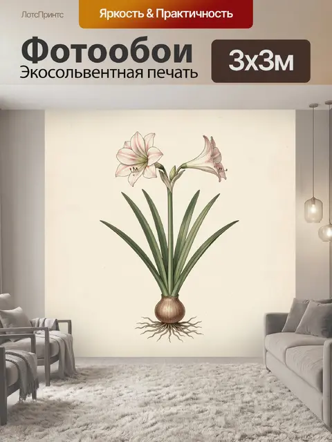 Фотообои Белоснежный амариллис с луковицей