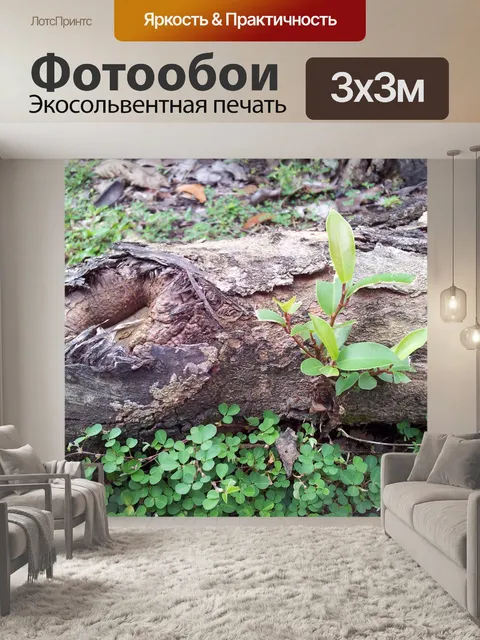 Фотообои Почка на корень дерева