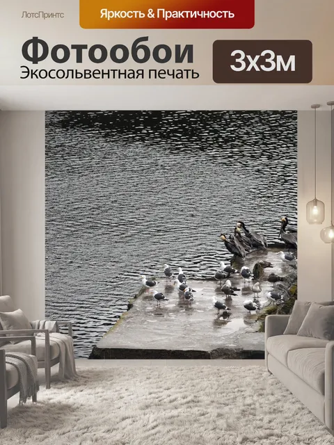 Фотообои Чайки и пеликаны в банях