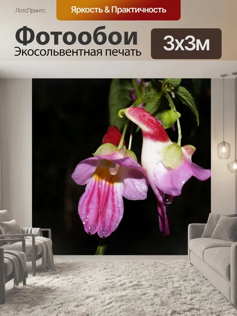 Фотообои Цветок попугая Чианг Дао, Чианг Май