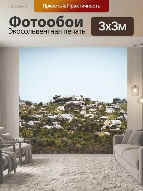 Фотообои Зебра