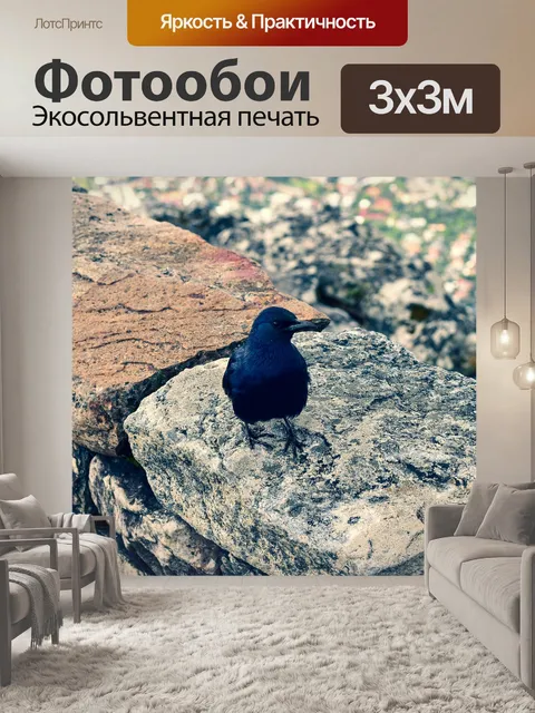 Фотообои Красный крылатый скворец