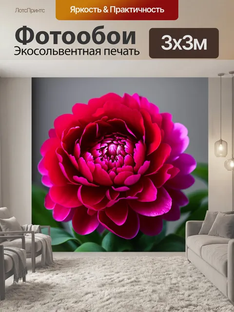 Фотообои красный пион, крупным планом, где каждый лепесток запечатлен с детальной текстурой, а фон мягко размывается…