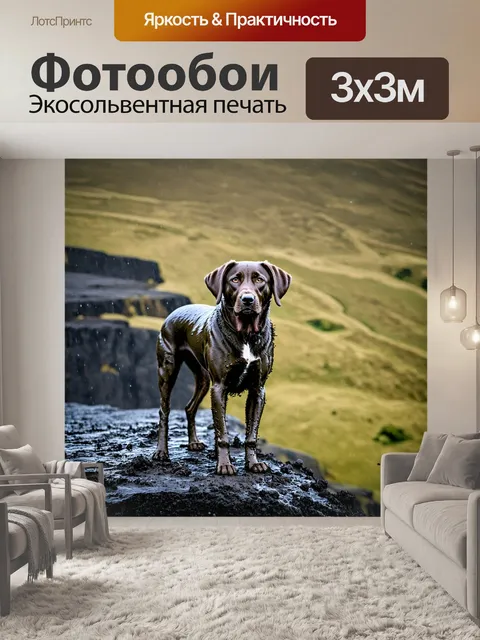 Фотообои собака породы лабрадор стоит на краю утеса после дождя, ее полотно покрыто грязью